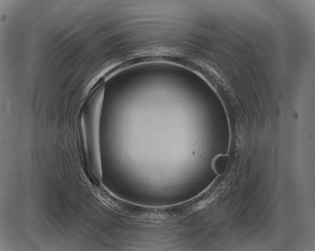 X0000085321073200703161500