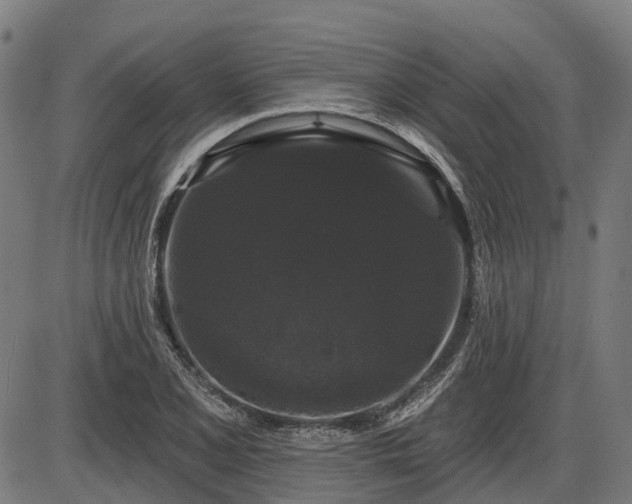 X0000085321077200703161500