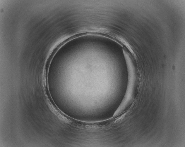 X0000085321080200703161459