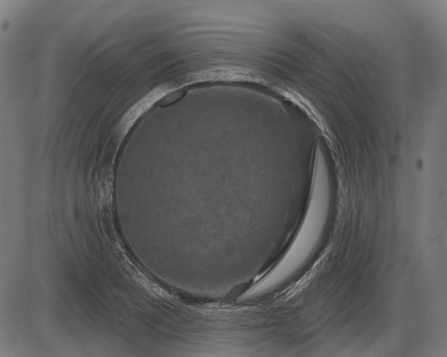 X0000085321081200703161459
