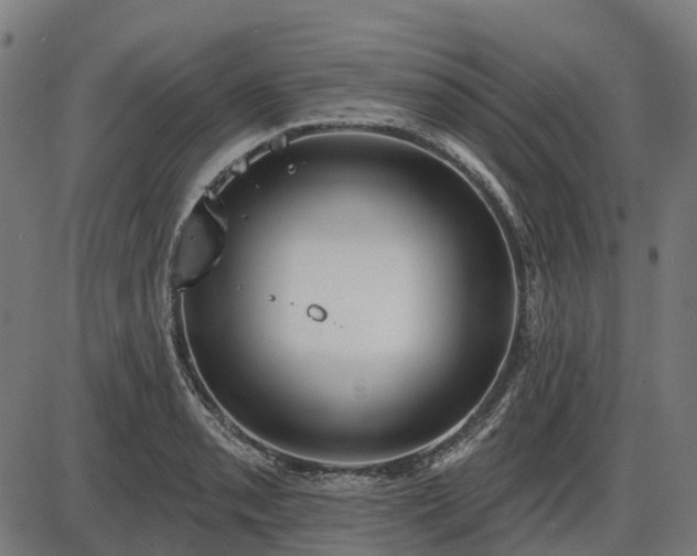 X0000085321085200703161459
