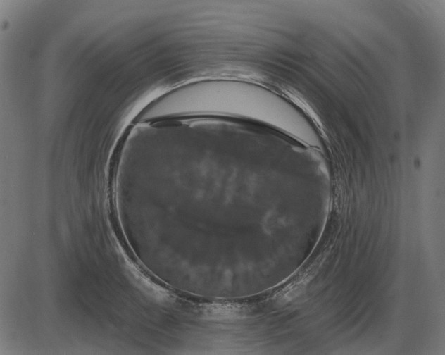 X0000085321087200703161459