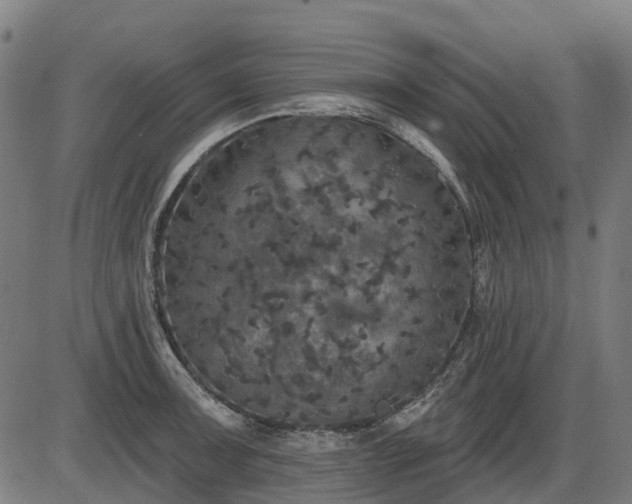 X0000085321091200703161459