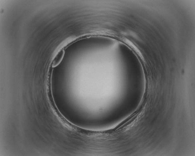 X0000085321093200703161459