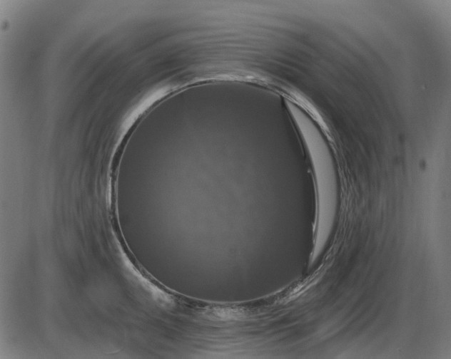 X0000085321095200703161459