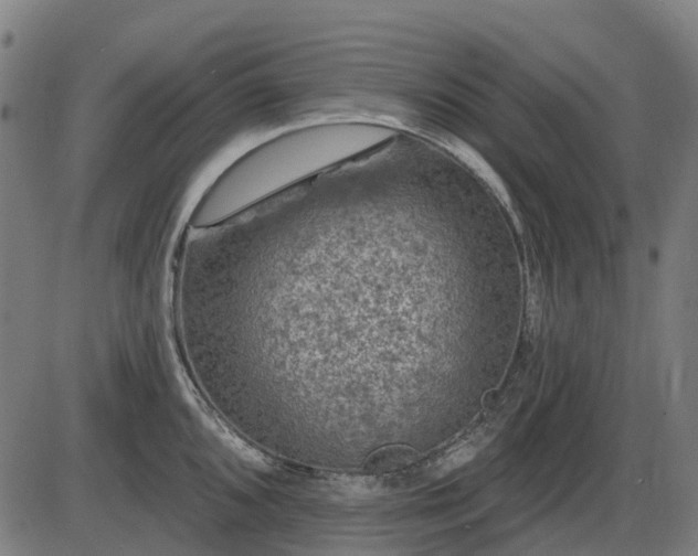 X0000085321096200703161459