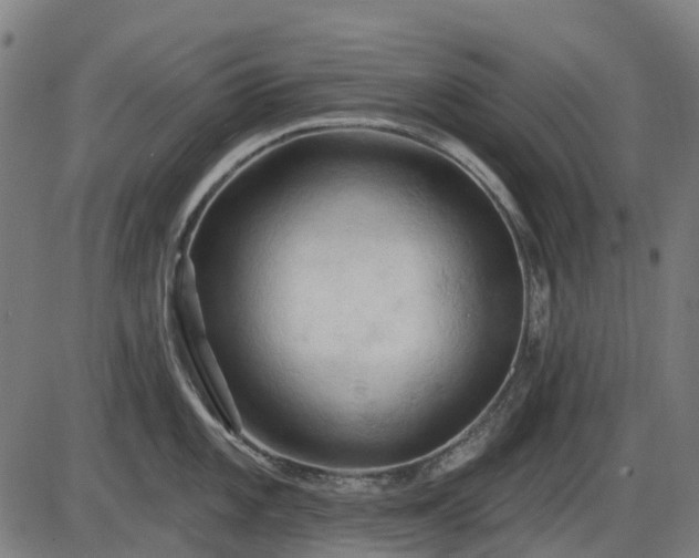 X0000085321101200703161459