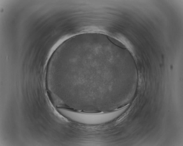 X0000085321102200703161459
