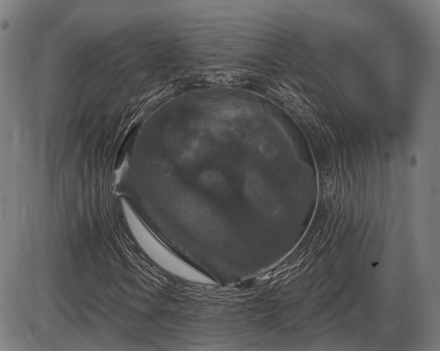 X0000085321106200703161458
