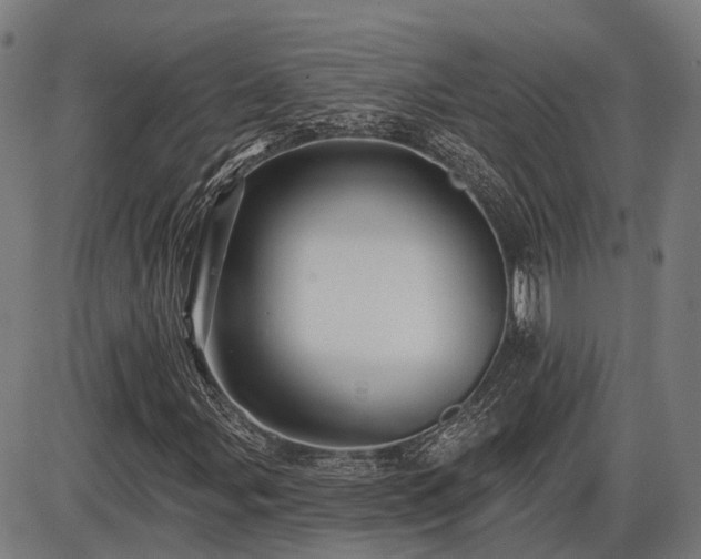 X0000085321107200703161458
