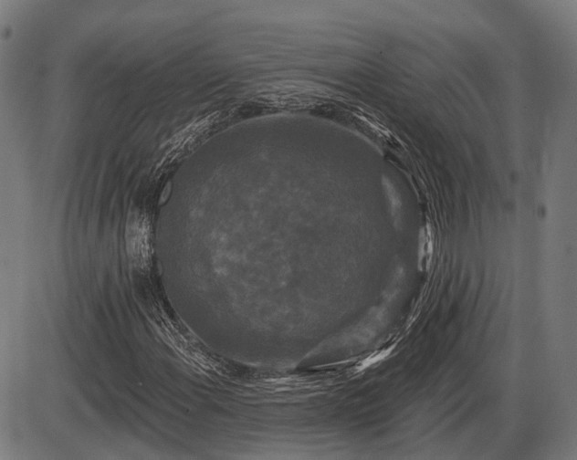 X0000085321108200703161458
