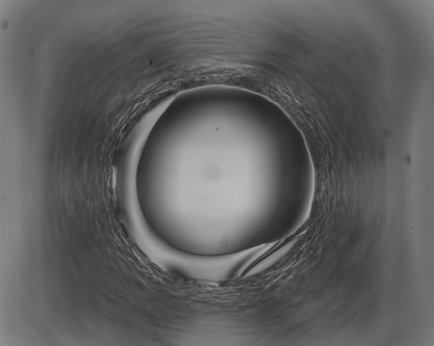 X0000085321109200703161458
