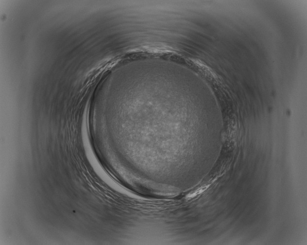 X0000085321110200703161458