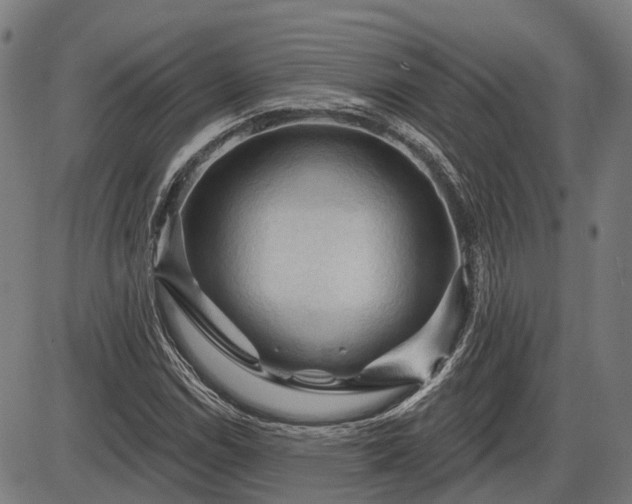 X0000085321114200703161458