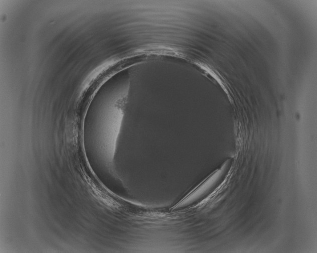 X0000085321115200703161458