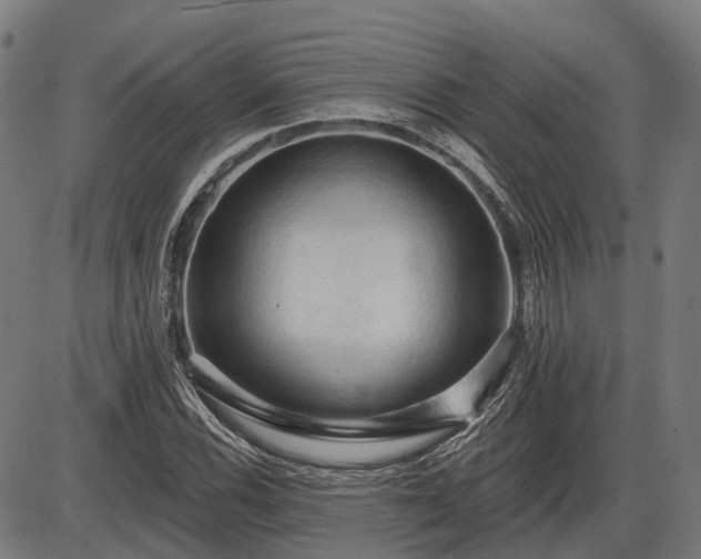 X0000085321116200703161458