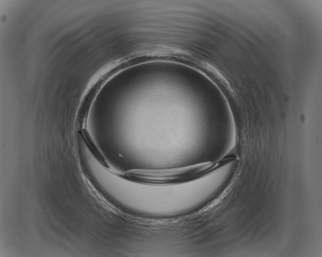 X0000085321122200703161459