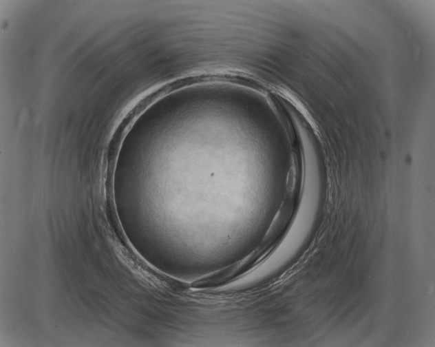 X0000085321124200703161459