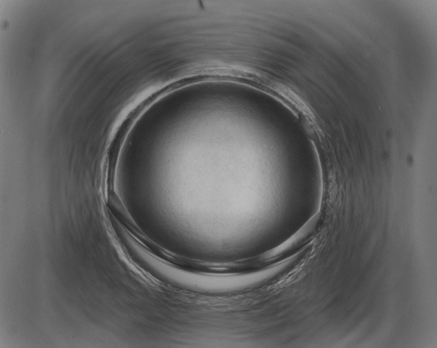 X0000085321128200703161459