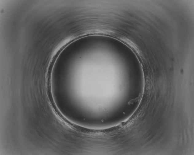 X0000085321135200703161459