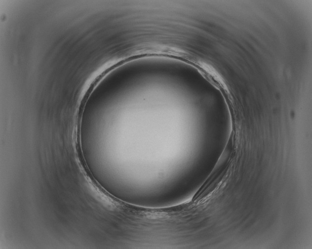 X0000085321136200703161459