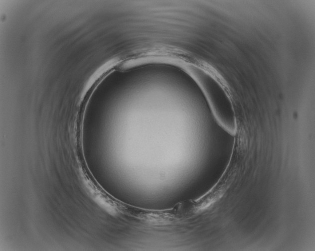 X0000085321138200703161459