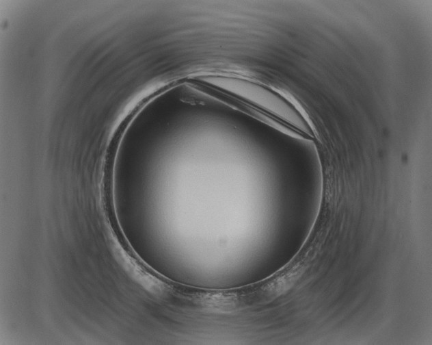 X0000085321139200703161459