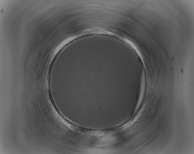 X0000085321141200703161459