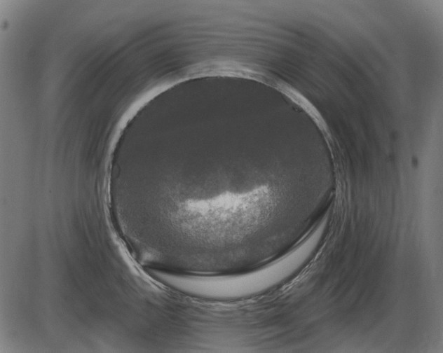 X0000085321144200703161459