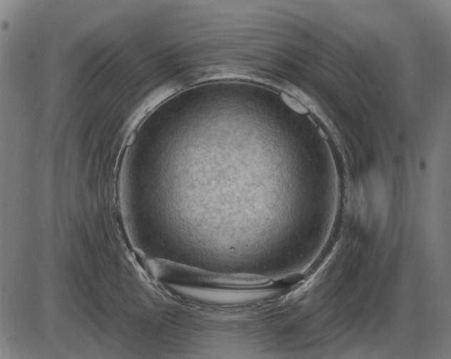 X0000085321145200703161459