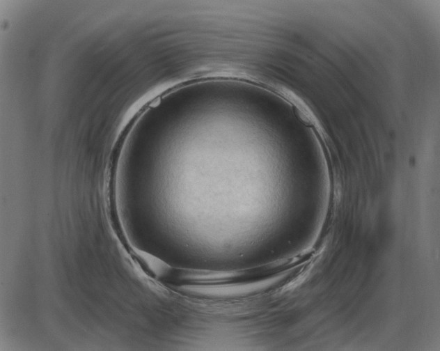 X0000085321149200703161459