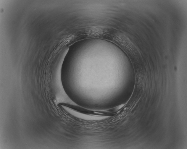 X0000085321153200703161458