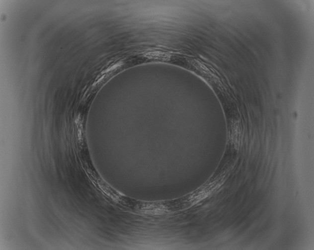 X0000085321154200703161458