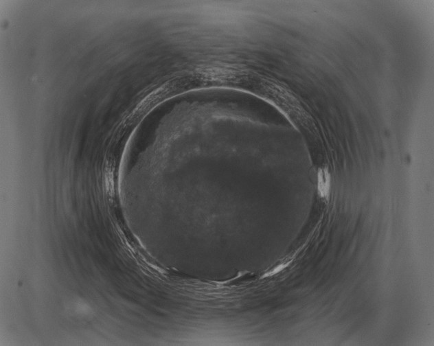 X0000085321155200703161458