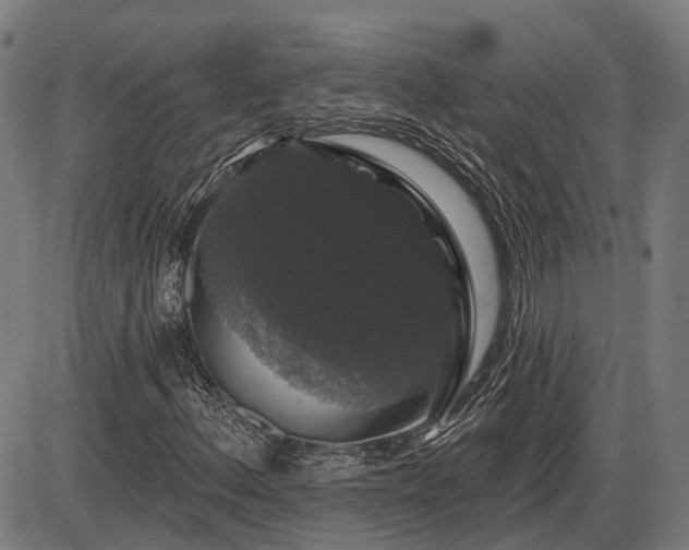X0000085321156200703161458