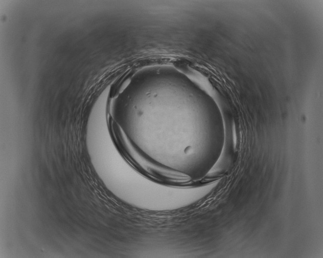 X0000085321157200703161458