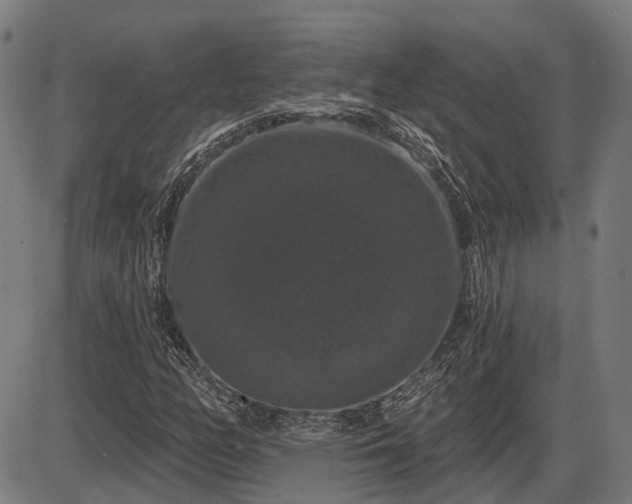 X0000085321158200703161458