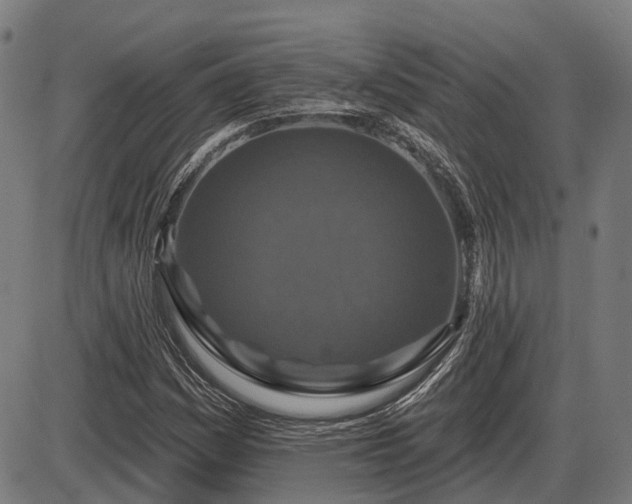 X0000085321161200703161458