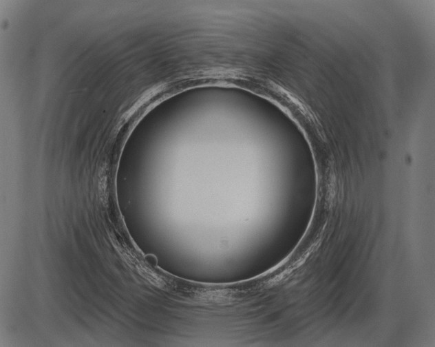 X0000085321162200703161458