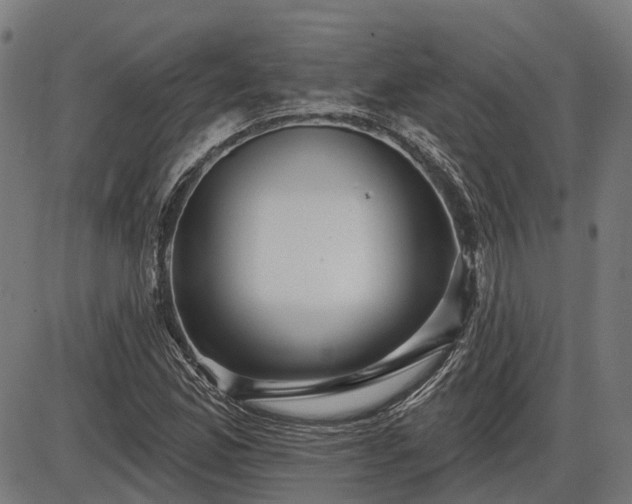 X0000085321165200703161458