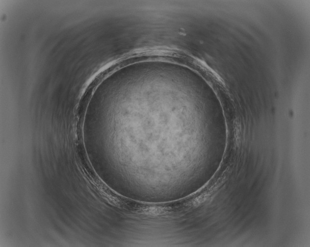 X0000085321166200703161458