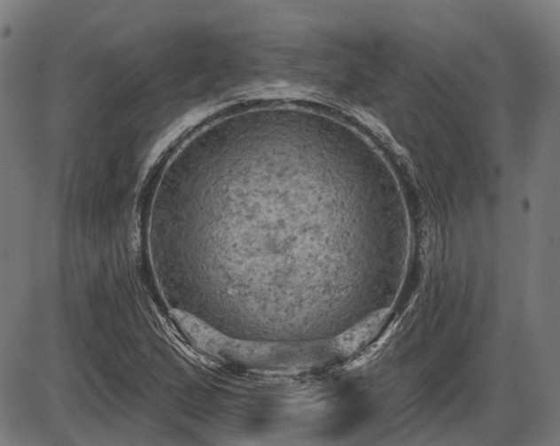 X0000085321167200703161458