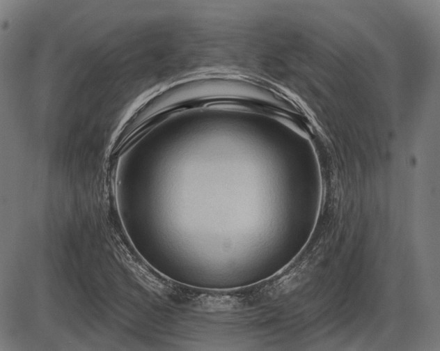 X0000085321168200703161458