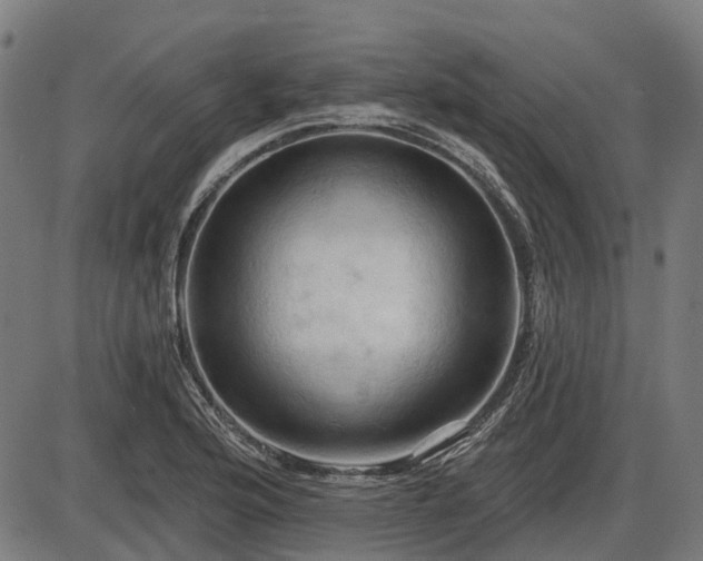 X0000085321176200703161458