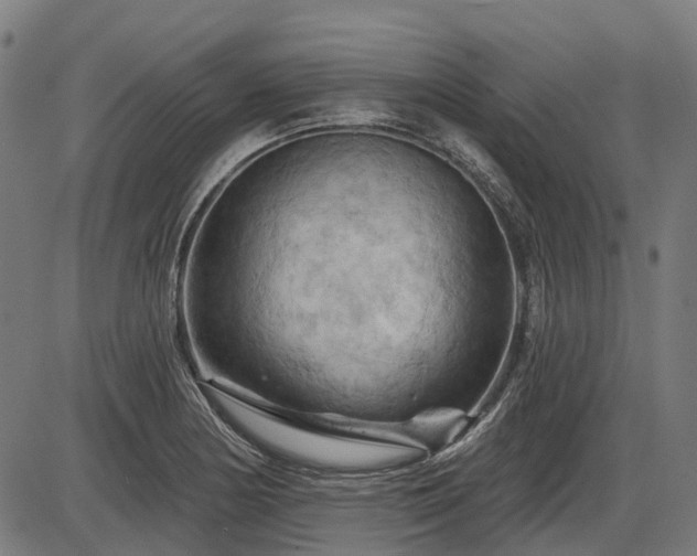 X0000085321178200703161458