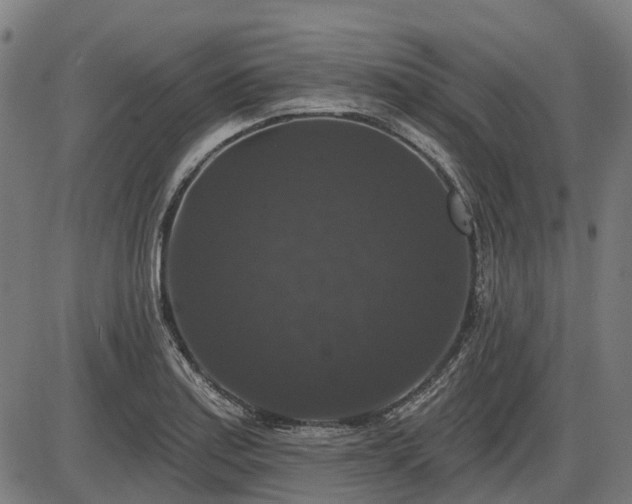 X0000085321179200703161458