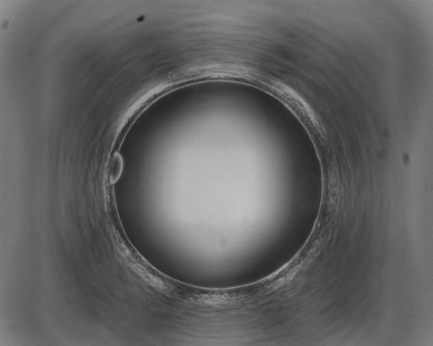 X0000085321182200703161458