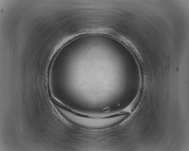X0000085321184200703161458