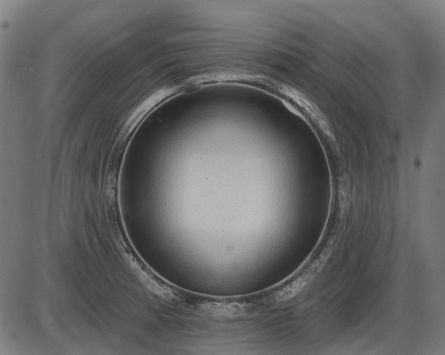 X0000085321185200703161458