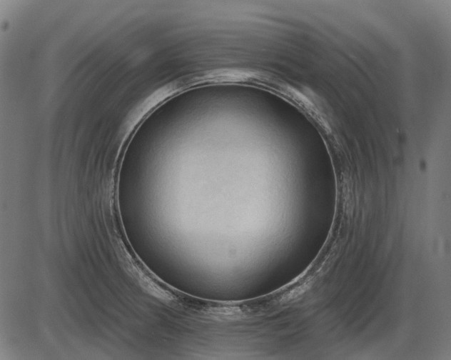 X0000085321186200703161458